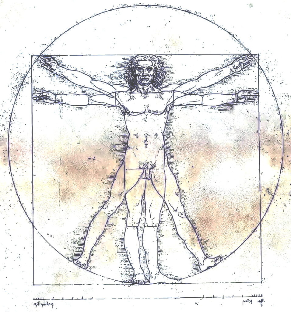 Рисунок "Витрувианского человека"
